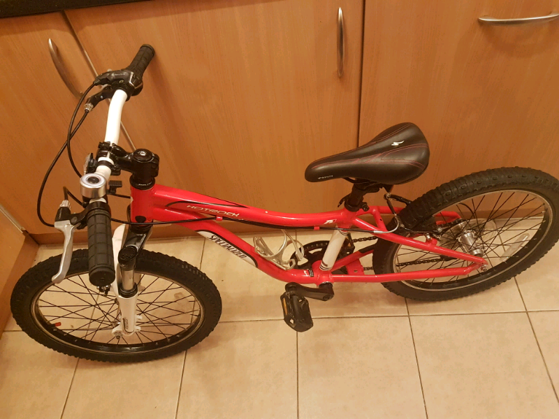 specialized hotrock 10